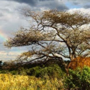 Meet your Posher, Dan